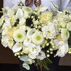 The Bloom Room Classic