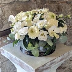 The Bloom Room Classic (with glass Bowl)