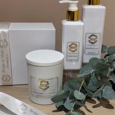 Dark Honey &amp; Tobacco Lotion